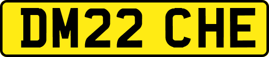 DM22CHE