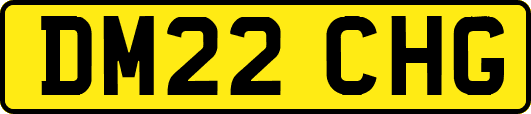 DM22CHG
