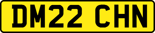 DM22CHN