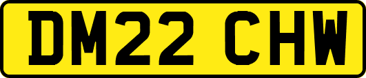 DM22CHW