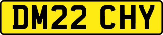 DM22CHY