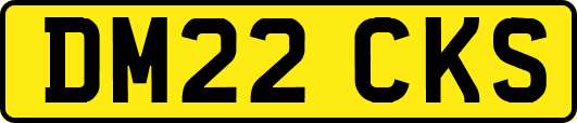 DM22CKS