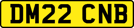 DM22CNB