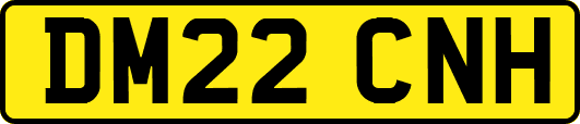 DM22CNH
