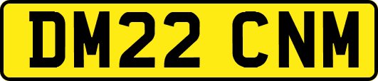 DM22CNM