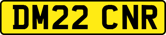 DM22CNR