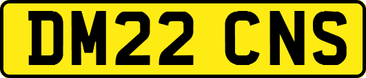 DM22CNS