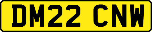DM22CNW
