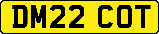 DM22COT