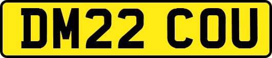 DM22COU