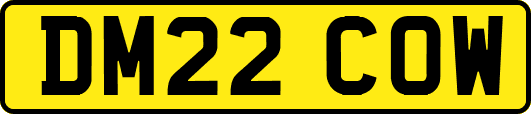DM22COW