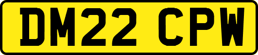 DM22CPW