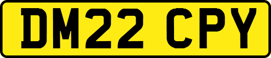 DM22CPY