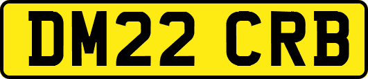 DM22CRB