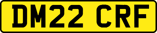 DM22CRF
