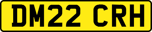 DM22CRH