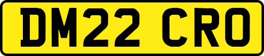 DM22CRO