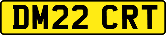 DM22CRT