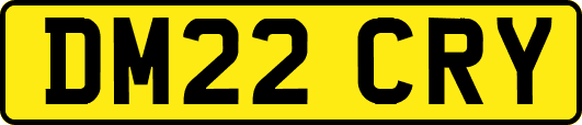 DM22CRY