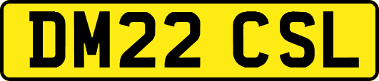 DM22CSL