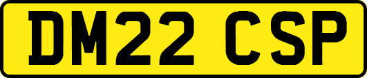 DM22CSP