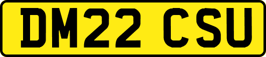 DM22CSU