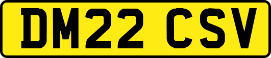 DM22CSV