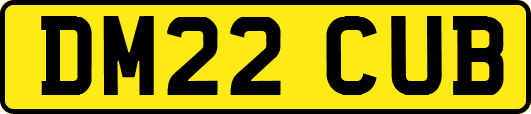 DM22CUB