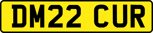 DM22CUR