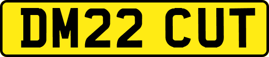 DM22CUT