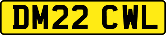 DM22CWL