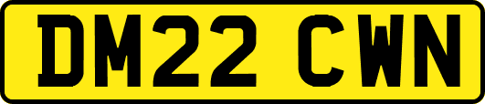 DM22CWN