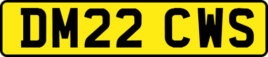 DM22CWS
