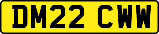 DM22CWW
