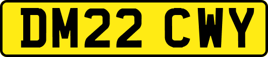 DM22CWY