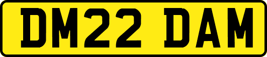 DM22DAM