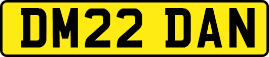DM22DAN