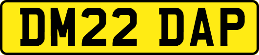 DM22DAP