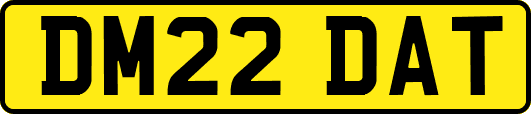 DM22DAT