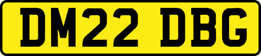 DM22DBG