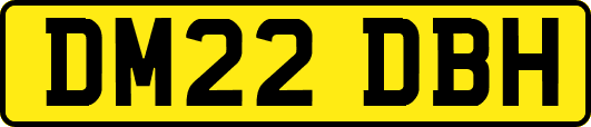 DM22DBH