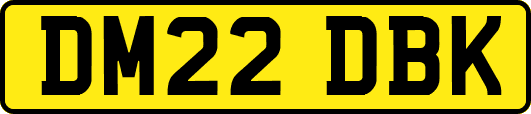 DM22DBK
