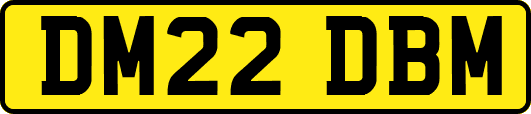 DM22DBM