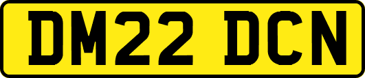 DM22DCN
