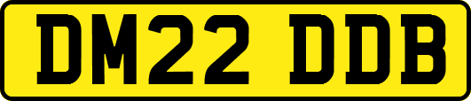 DM22DDB