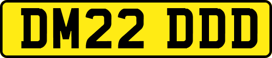 DM22DDD