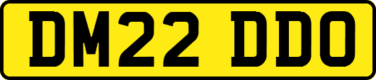 DM22DDO