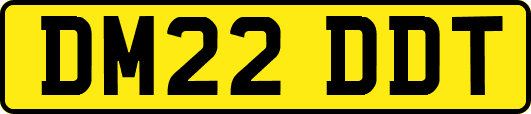 DM22DDT