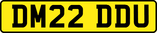 DM22DDU