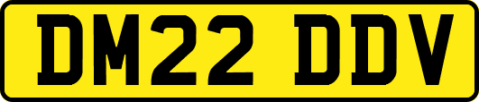 DM22DDV